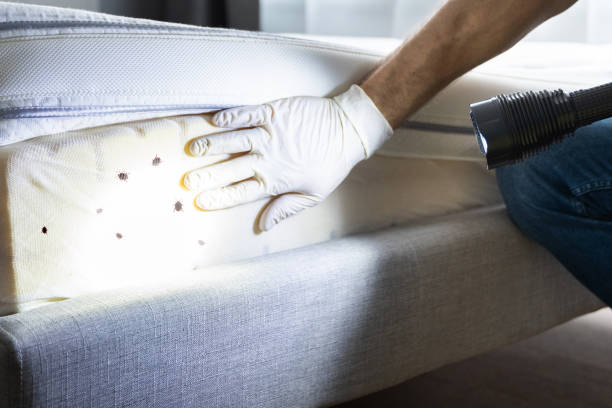 Best Wildlife Control Services  in Milton, WI